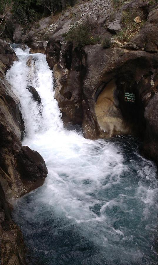 Ipek Apartotel Alanya Bagian luar foto